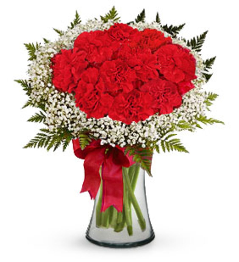 12 Red Carnations Vase