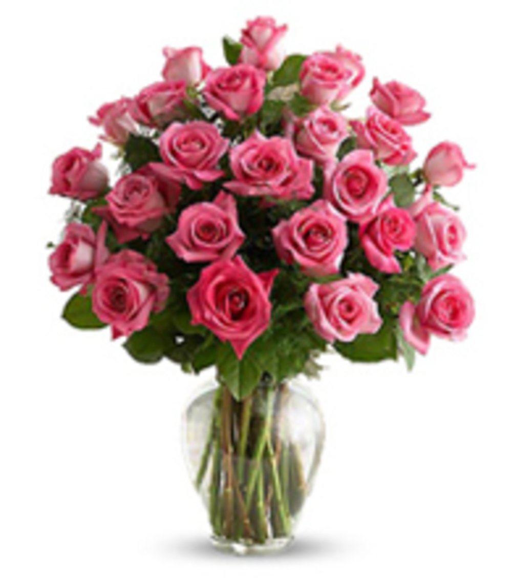 24 Pink Rose Flower Vase