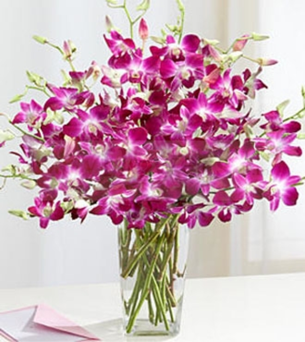 10 Pretty Purple Orchids