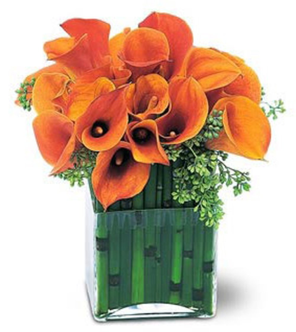 20 Unique Orange Cala Lily Flower Vase