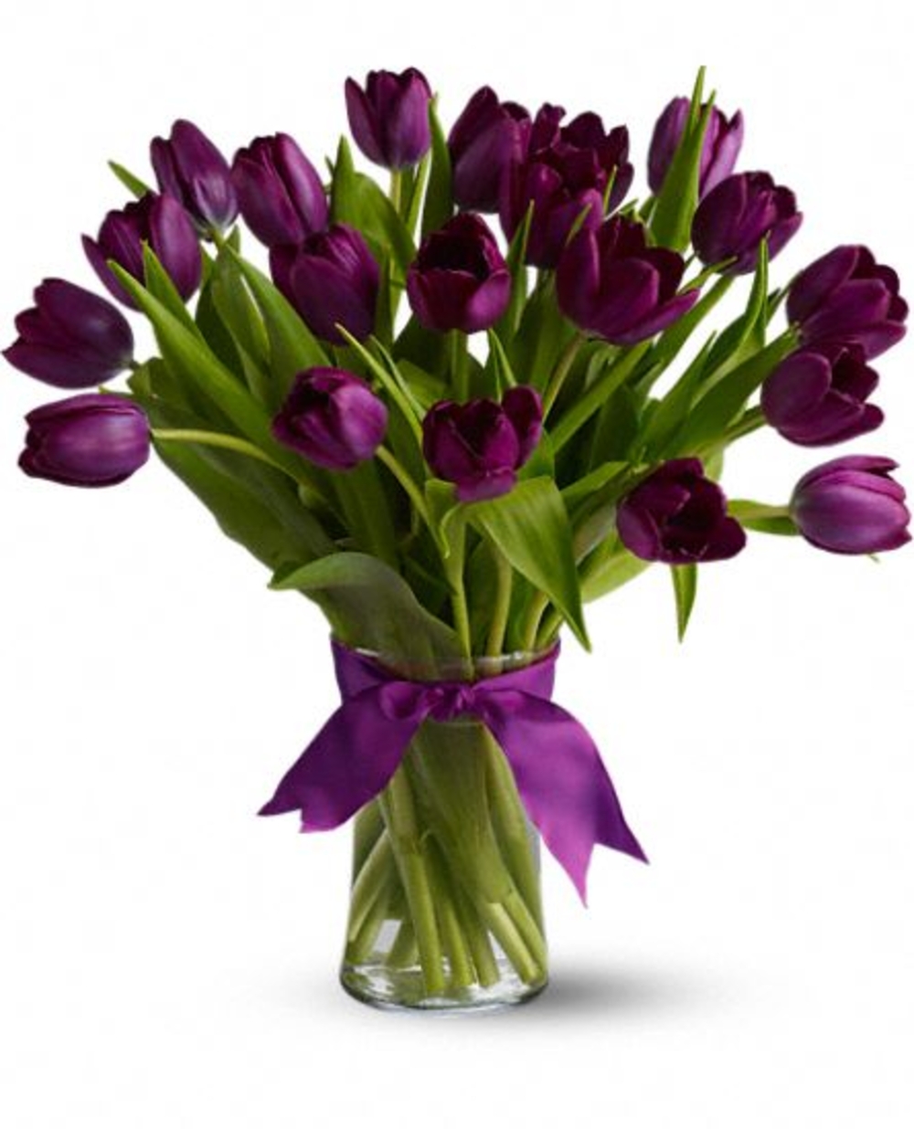 20 Passionate Purple Tulips