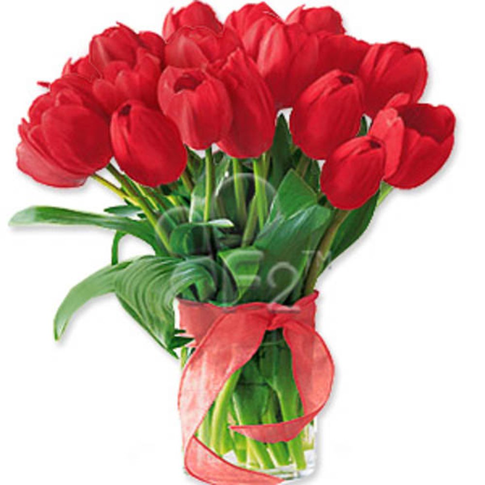 20 Red Tulips Flower Vase
