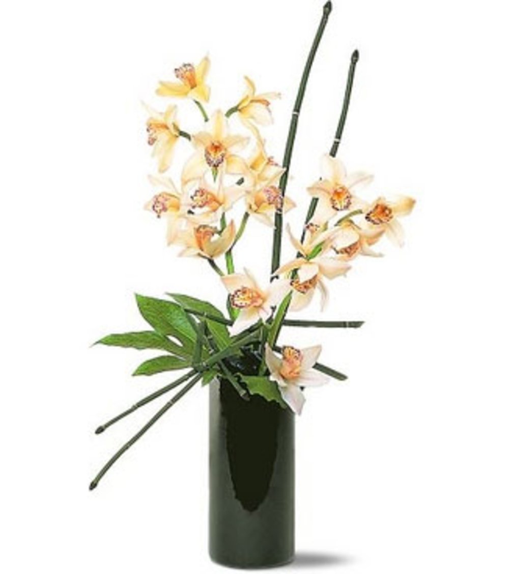 Cymbidium Orchids Flower Vase