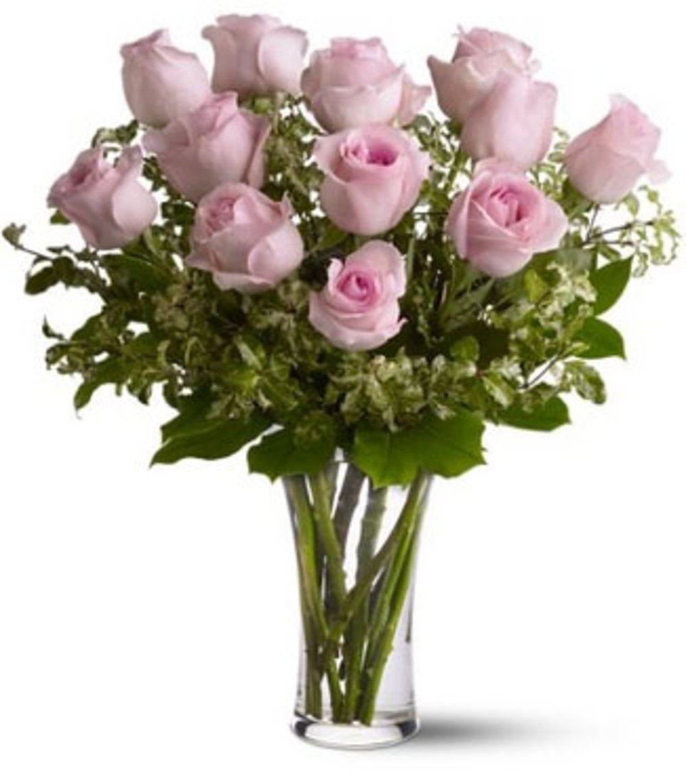 12 Pink Rose Vase