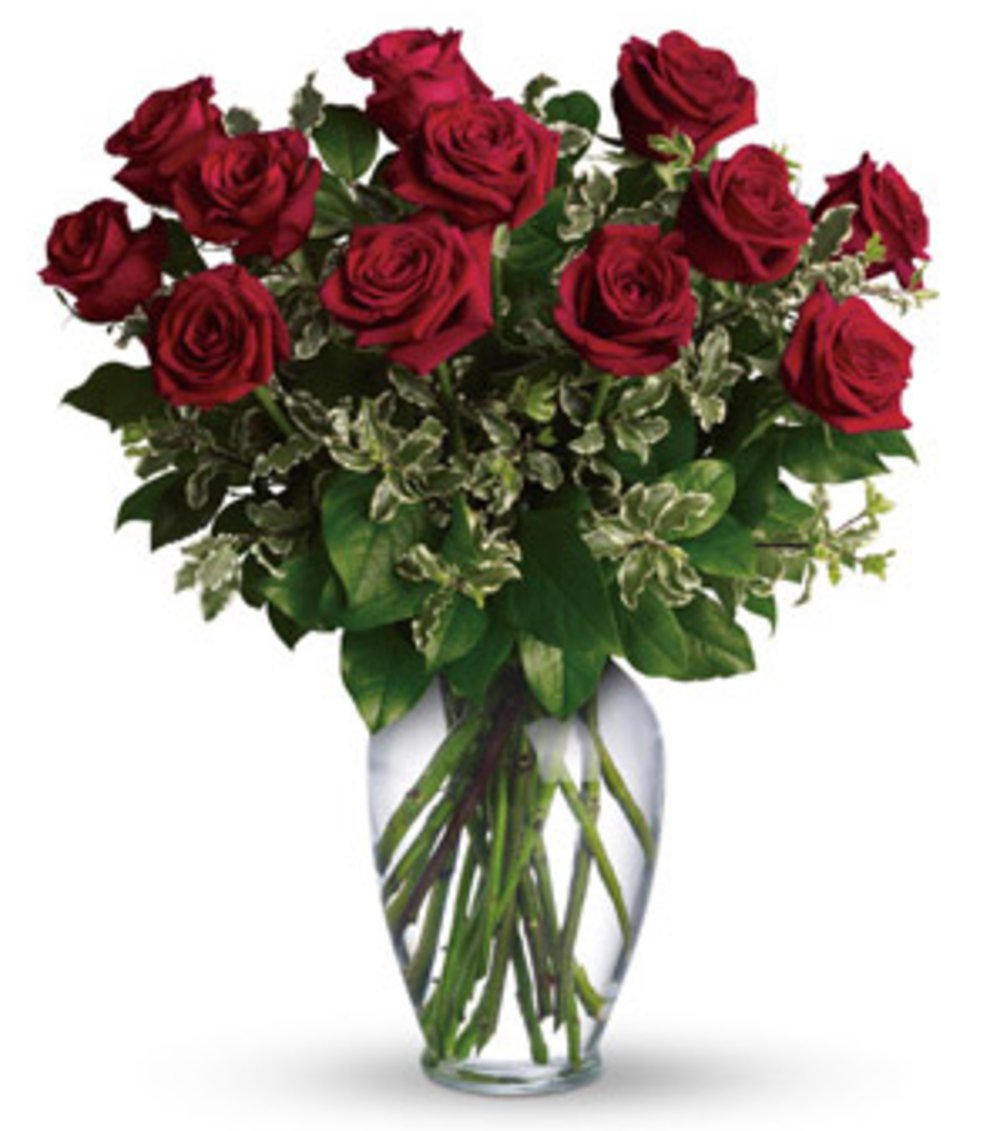 12 Red Romantic Roses Flower Vase 